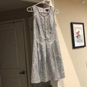 The limited dress size 2